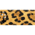 Leopard Animal Print Xbox Adaptive Controller Skin