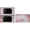 Laurie Prindle Licorne Florale Rose Unicorn DS Lite Skin