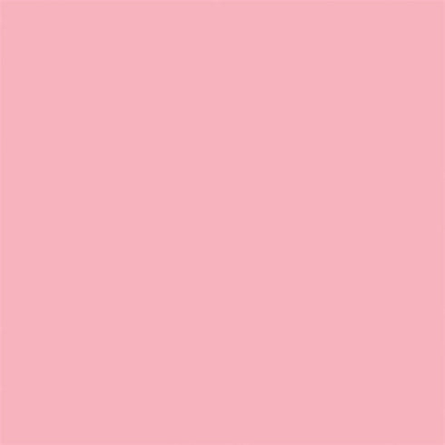 Light Pink Nintendo 2DS XL (2017) Skin