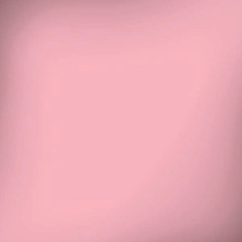 Light Pink iPhone X Pro Case