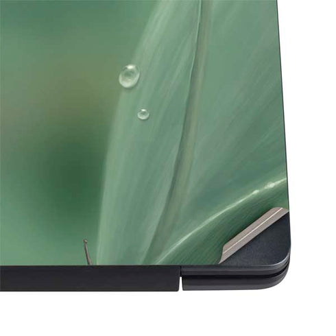 Rachel Anderson Lily of the Valley Dell Vostro Skin