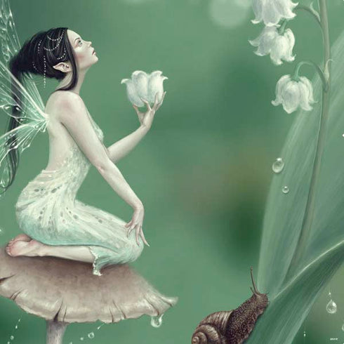 Rachel Anderson Lily of the Valley PS4 Pro Bundle Skin