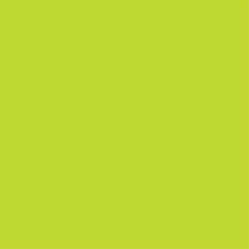 Lime Solid Nintendo 2DS XL (2017) Skin