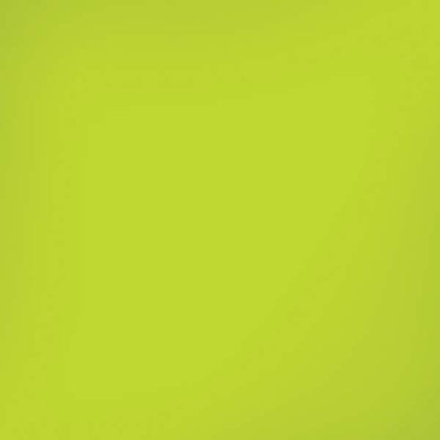 Lime Solid iPhone XR Pro Case