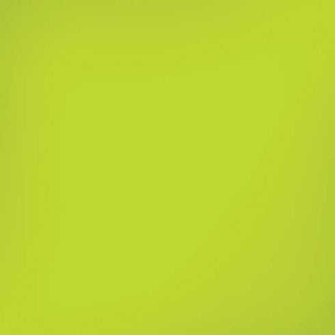 Lime Solid iPhone XR Skin