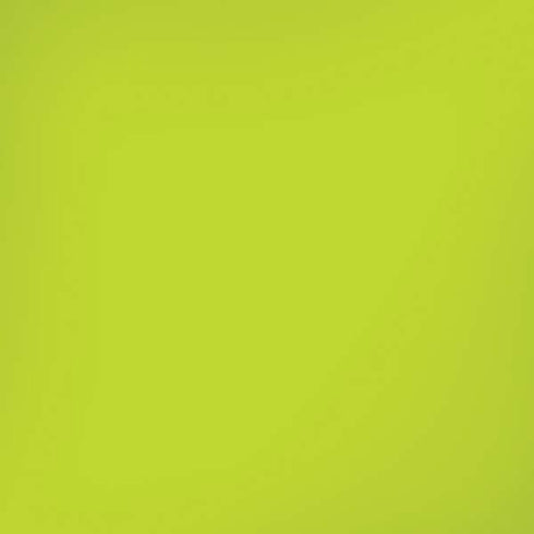 Lime Solid iPhone XS Skin
