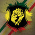 Lion of Judah Shield iPhone X Pro Case