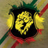 Lion of Judah Shield iPhone XR Skin