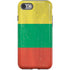 Lithuania Flag Distressed iPhone SE (2nd & 3rd Gen) Pro Case