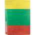 Lithuania Flag Distressed PS5 Bundle Skin