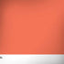 Living Coral Notebook 9 Pro 13in (2017) Skin