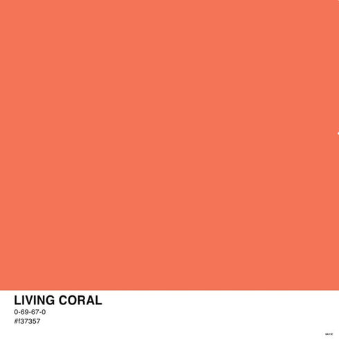 Living Coral PS4 Console and Controller Bundle Skin