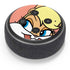 Looney Tunes Lola Bunny Zoomed In Amazon Echo Dot Skin