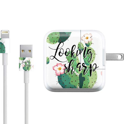 Looking Sharp iPad Charger (10W USB) Skin