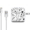 Looney Tunes Looney Squad Black and White Grid iPad Charger (10W USB) Skin