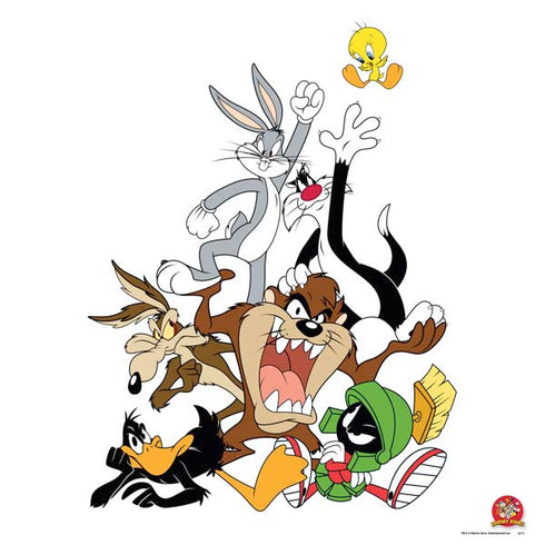 Looney Tunes All Together PS4 Slim Skin