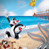 Looney Tunes Beach iPhone X Pro Case