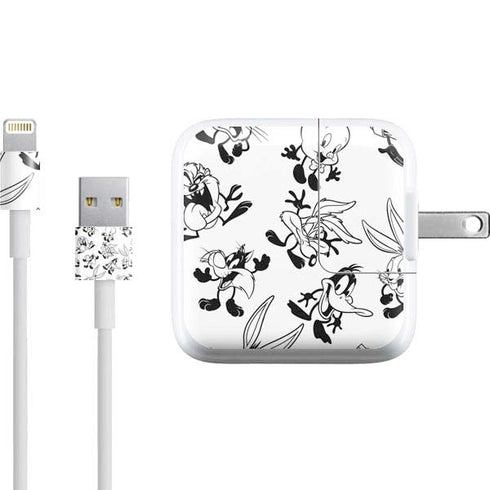 Looney Tunes Big Head Pattern iPad Charger (10W USB) Skin
