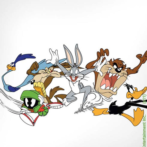 Looney Tunes Chase iPhone XR Skin