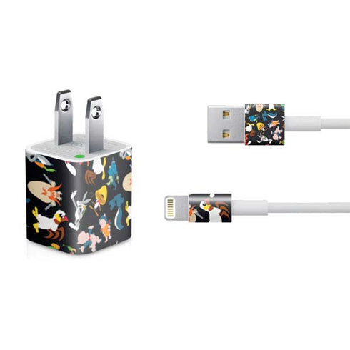 Looney Tunes Identity Pattern iPhone Charger (5W USB) Skin