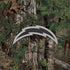 NFL Los Angeles Chargers Realtree Xtra Green Camo Galaxy Note 8 Skin