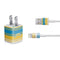 NFL Los Angeles Chargers Trailblazer iPhone Charger (5W USB) Skin