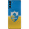 NFL Los Angeles Chargers Vintage Galaxy S21 Plus 5G Skin