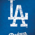 MLB Los Angeles Dodgers - Solid Distressed iPhone X Pro Case