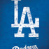 MLB Los Angeles Dodgers - Solid Distressed iPhone X Skin