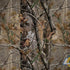 NFL Los Angeles Rams Realtree AP Camo Dell Alienware Skin