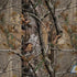 NFL Los Angeles Rams Realtree AP Camo Legion Y720 Skin