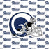 NFL Los Angeles Rams White Logo Blast PS4 Pro Bundle Skin