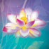 Lotus Floral Pattern Galaxy Note 8 Skin