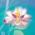 Lotus Floral Pattern Moto E5 Play Skin