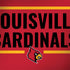 University of Louisville Cardinals Striped HP Spectre Skin