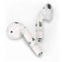 Love Grows Here Apple AirPods 2 Skin