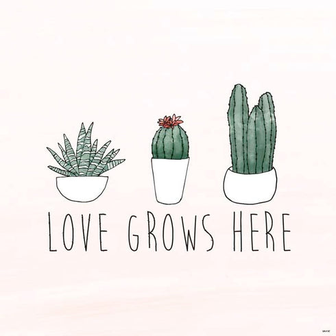 Love Grows Here PS4 Console and Controller Bundle Skin