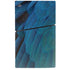 Macaw PS5 Slim Digital Edition Bundle Skin
