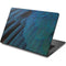 Macaw Animal Print Dell Chromebook Skin