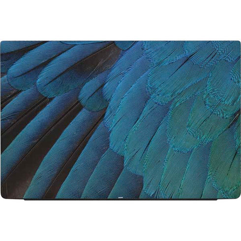 Macaw Dell Vostro Skin