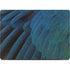 Macaw MacBook Pro 14in (2021-24) Skin