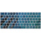 Macaw Animal Print Magic Keyboard Skin