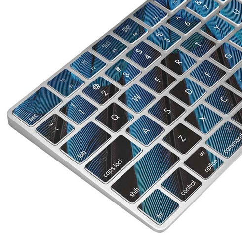 Macaw Animal Print Magic Keyboard Skin