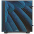 Macaw Animal Print NZXT H510 Compact ATX Mid-Tower Case Skin