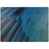 Macaw Animal Print Surface Laptop 4 15in Skin
