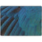 Macaw Animal Print Surface Pro 8 Skin