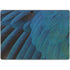 Macaw Animal Print Surface Pro 9 Skin