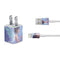 Rachel Anderson Magical Butterfly Fairy iPhone Charger (5W USB) Skin
