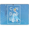 Disney Princess Magical Cinderella Surface Pro 8 Skin
