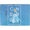 Disney Princess Magical Cinderella Surface Pro 9 Skin